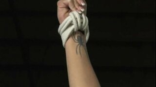 Harmoniya - Məşq fahişələrin - Tammetrajlı film